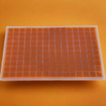 냉동 브라인 쉬림프 구피 전용 먹이 슈림프 : DuDu몰