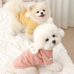 강아지 뽀송 래빗 순면 티셔츠 스트라이프 탑 봄옷 가을옷 데일리룩 S : 아르무아 미뇽