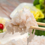 통영 자연산 눈꽃 아나고회 부산 기장 칠암식 붕장어회 바다장어 500g 초장 야채 포함 : 오산지