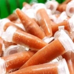 냉동 브라인 쉬림프 구피 전용 먹이 슈림프 : DuDu몰