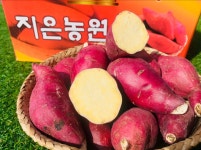 베니지민 꿀고구마 지은농원 소량구매 3kg 5kg : 귀한과일 더드림