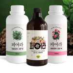 [홈쇼핑] 뉴 피어라 올인원 식물 영양제 3종 : 조이홈쇼핑