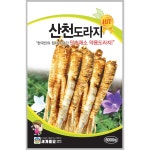 산천도라지 6000립 / 씨앗 종자 텃밭 토종 채소 : 씨앗백화점