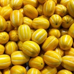 [채담이네 식탁]성주 참외 당도 선별 산지 직송 소과 2KG, 4KG, 5KG 참외 제철과일 로열과 중과 대과 못난이 참외 : 채담이네 식탁