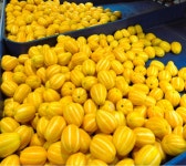 [채담이네 식탁]성주 참외 당도 선별 산지 직송 소과 2KG, 4KG, 5KG 참외 제철과일 로열과 중과 대과 못난이 참외 : 채담이네 식탁