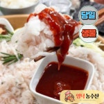 영덕농수산 미주구리회 300g 1+1 한팩더 물가자미 기름 가자미 회 회무침 세꼬시 : 영덕농수산