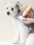 이눔 펫 강아지 고양이 눈물냄새 눈꼽 아이클리너 눈물자국 제거 세정제 클렌징 100ml : 피어나개