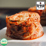 함평골김치 전라도 감칠맛 파김치 500g + 500g 외 당일생산 국내산 재료 : 푸드앰프