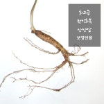 특보약 선물용 횡성평창산양삼제철 산양산삼산양삼장뇌삼주 경동시장인삼다낭체  스승의날선물 : 최고당 제철산지직송