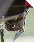 ACAVALLO 승마 마장마술 Gel Chain Guard : jtack