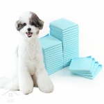 오집추 강아지 배변패드 40매 60x60cm 애완 무향 샘방지 대변 매트 : 오늘의 집순이 추천템