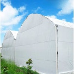 비닐하우스 햇빛차단 필름 차광 차양 차광막 반사 온실 농막 흑백 수입 장수 흑백필름 12수 두께/제곱미터 비고 사이즈 : 하이플랜