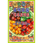 4색모듬대추토마토 60립 토마토씨앗 : 중앙종묘농약사