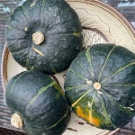 수입산(뉴질랜드) 싱싱 단호박 2kg(2-3개) 가락시장 직배송 푸르름팜 : 푸르름팜