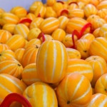 [채담이네 식탁]성주 참외 당도 선별 산지 직송 소과 2KG, 4KG, 5KG 참외 제철과일 로열과 중과 대과 못난이 참외 : 채담이네 식탁