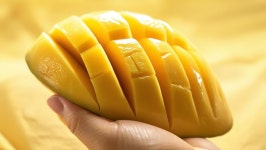 태국산 무지개 망고 마하차녹  4kg : 쿠사도