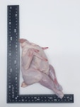 닭장사 국내산 냉동 삼계닭 30호 30마리 벌크포장 백숙용 삼계탕용 : 닭장사