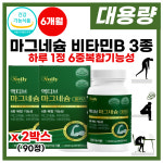 액티브 마그네슘 비타민B 영양제 활력 에너지 1000mg 90정, 2개 : 씨엔케이솔루션