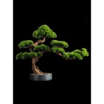 인조 소나무 분재 인조소나무 화분 장식 사무실 거실 모형 : 토탈이커4