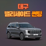 대구 달서구 팰리세이드 자동차 썬팅 경북 틴팅 재시공 열선 측면 전문점 : 건준오토모빌