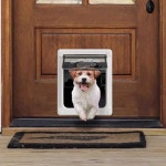 캣도어 펫도어 고양이 출입문 강아지 개구멍 펜스 화이트 S : 제이와이셀링