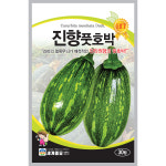 진향풋호박 30립 / 호박 씨앗 종자 텃밭키우기 채소키우기 덩굴풋호박 : 초록스타