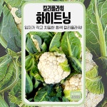 화이트닝 칼리플라워 씨앗 50립 세계종묘 종자 모종 씨 작물 야채 채소 컬리플라워 : 슬기로운농약사