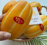 생산자 직배송 수촌농가 고당도 탱탱과육 성주 벌꿀참외 18 브릭 이상(1,2,3,5 kg) : 바쁜달걀