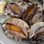 완도 활 전복 1kg 산소포장 : 산지명인