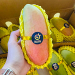 소문난 원물 프리미엄 태국 골드망고 무지개망고 애플망고 선물세트 3kg 4kg 5kg : 청담 마켓