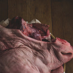 한우소머리 (암소)한마리 완벽손질 마장동직송 머릿고기 : 중앙축산유통