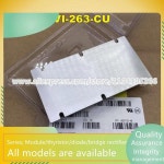 IP-251-CU 새상품 모듈 : 에스-물류무역