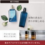 카메이트 자동차 용 디퓨저 브랑 에어 퍼퓸 디퓨저 실버 H1362 : hoper