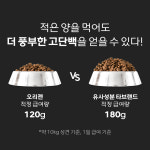 오리젠 6 fish 식스 피쉬 캣 5.4kg 고양이 사료 : 리프펫