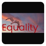 [스팀] Equality 계정 즉시발송 (이퀄리티) : 게이밍24