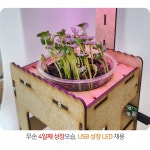 LED 스마트팜 만들기(자동급수) : 와이즈존