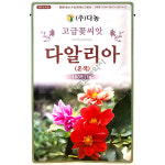 다알리아 혼색 100립 다농꽃씨앗 25년 : 중앙종묘농약사