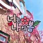 봄토퍼 벚꽃놀이 봄나들이 셀프촬영 여행토퍼 : 땡큐올레