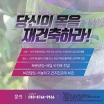 비타슈퍼h12 6개월분 4개 멕시코 명품  다이어트 보조식품 남자 여자 배변활동 에너지증가 : 켈리윗유코리아