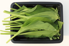 국내산 명이나물1kg 명의나물 생명이나물 생명의나물 명이나물잎 : MMstore