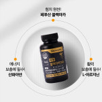 광동 블랙마카 365 아연 아르기닌 120정 1박스 2개월분 : Boomgirl