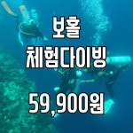 보홀 체험다이빙 나팔링스킨스쿠버 한국인강사진행 / 무료픽드랍 : 투어레코드
