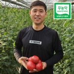 [무농약] 퇴촌 찰 토마토 당일수확 배송 2kg, 1개 : 퇴촌 호동농장