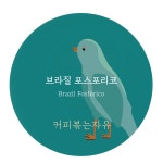 [커피볶는자유 싱글오리진 드립백] 브라질 포스포리코 10개 고소한 달콤한 부드러운 커피 : 커피볶는자유