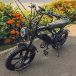 EU 미국 창고 준비 재고 전기 자전거 750w 20인치 지방 타이어 전자 도시 25km/h 성인 Fatbike : 왠즈데이마켓