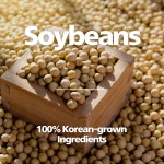 [콩국수맛] 오래오랩 콩쉐이크 40g, 20개 : 오래오랩