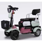 장애인전동차 전기 오토바이 스쿠터 농업용 삼륜차 650W 모터+60V20A 납산+45km : 탑빌리지