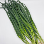 무농약 친환경 대파 (세뚜리꾸러미) : 홍성로컬푸드협동조합