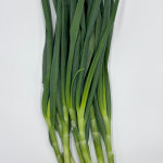 유기농 무농약 친환경 대파 (세뚜리꾸러미) : 홍성로컬푸드협동조합