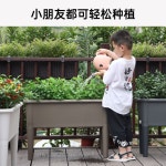 베란다 텃밭 상자 홈가드닝 진열대 스탠드 대형 화분 조립식 : 트루바잉샵